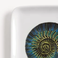 Design Ashtrays<Fornasetti Ashtray Conchiglia Fossile Multicolour
