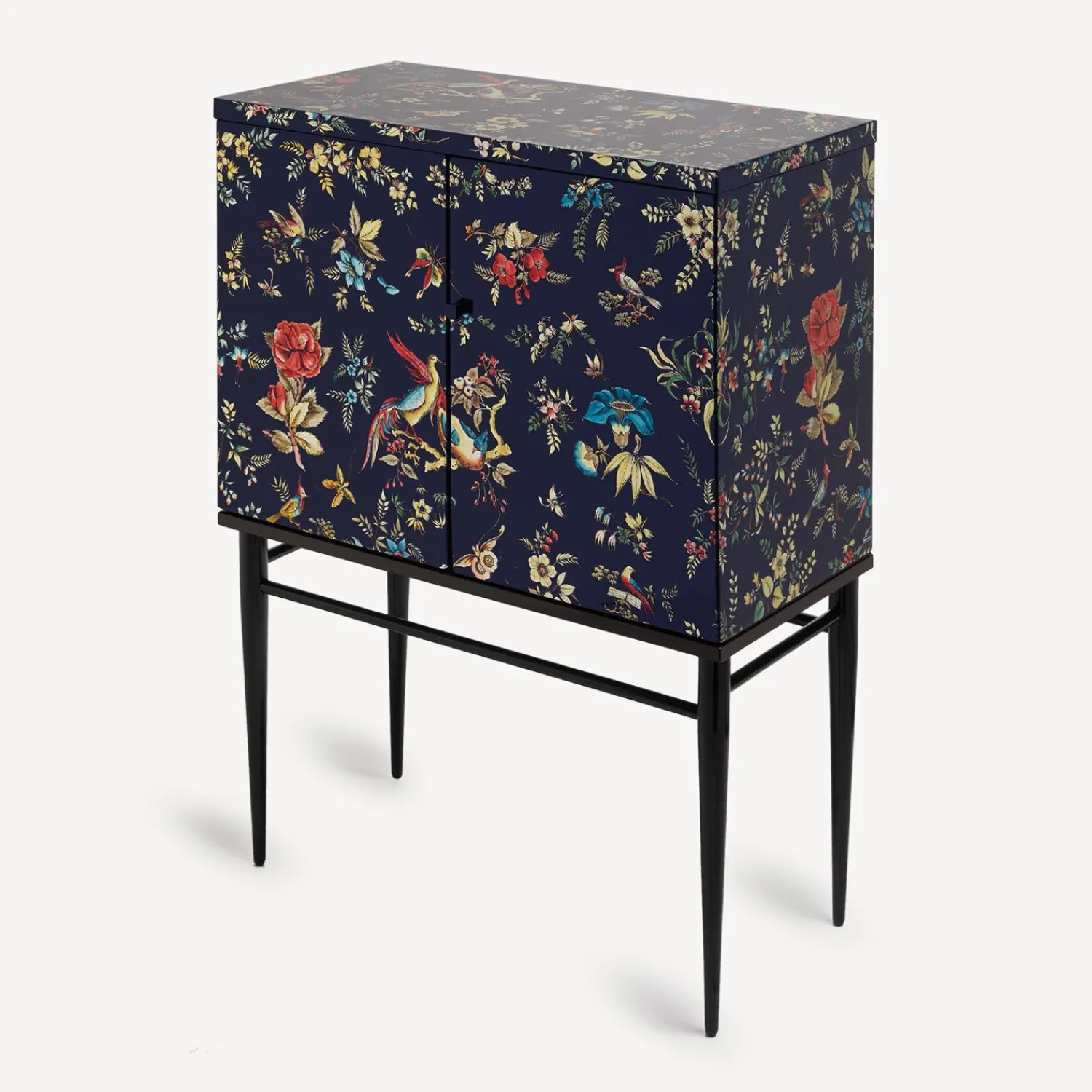 Cabinets<Fornasetti Raised Cabinet Coromandel Multicolour