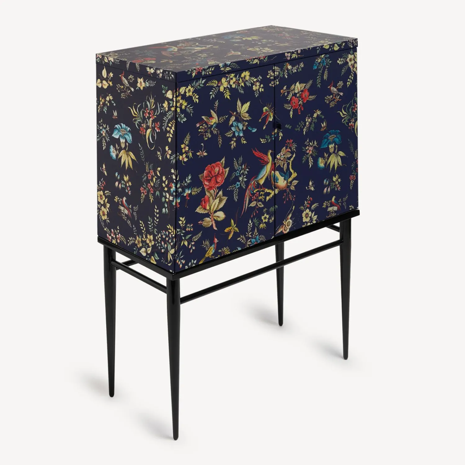 Cabinets<Fornasetti Raised Cabinet Coromandel Multicolour