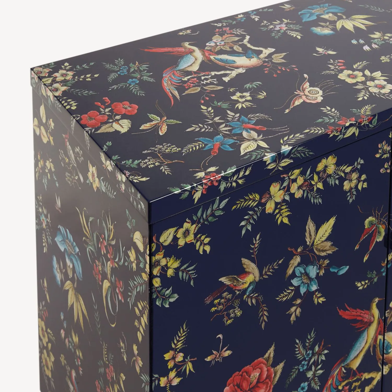 Cabinets<Fornasetti Raised Cabinet Coromandel Multicolour