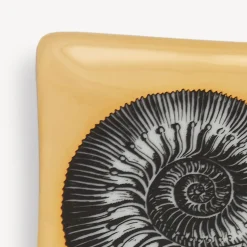 Design Ashtrays<Fornasetti Rectangular Ashtray Giro Di Conchiglie White/Black/Gold
