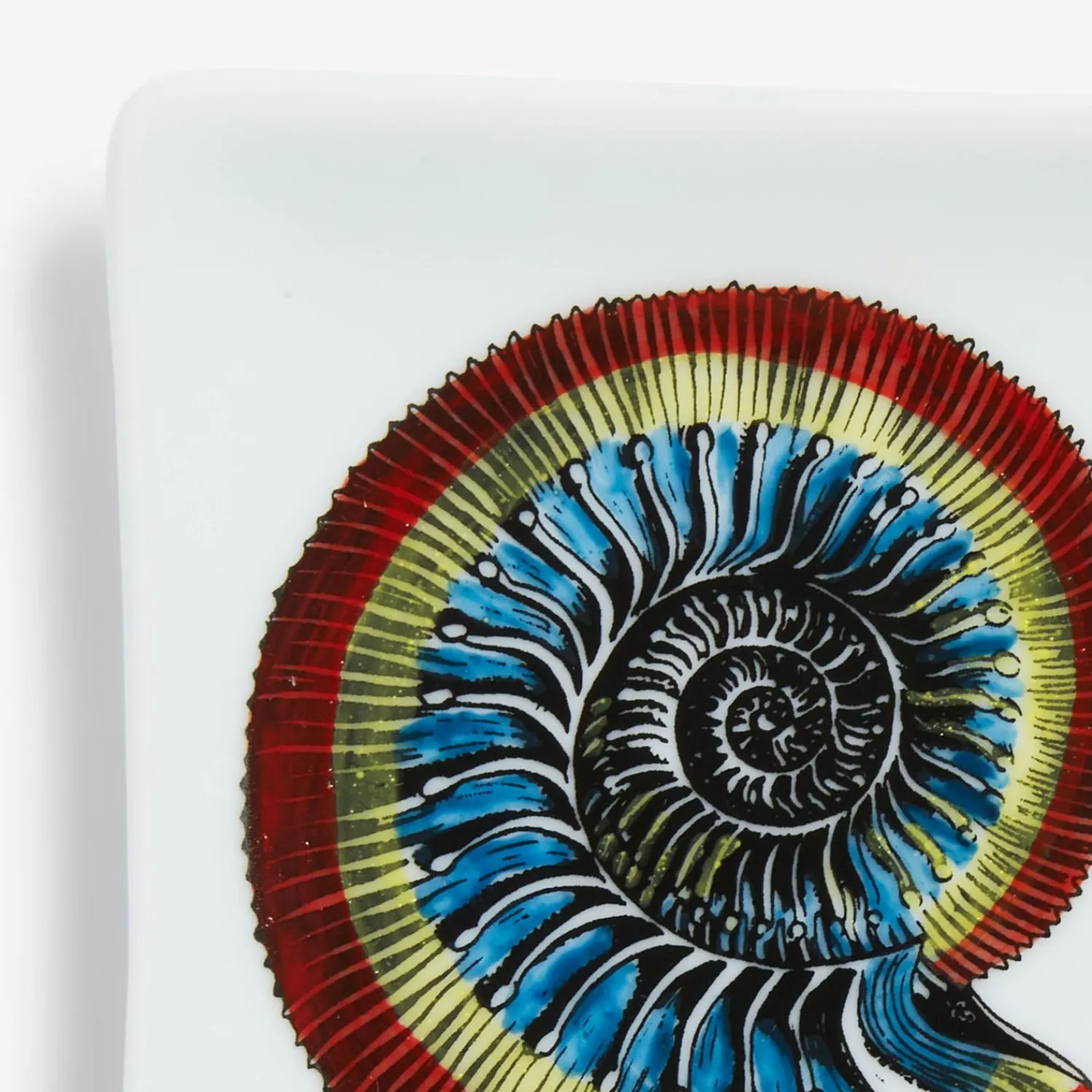 Design Ashtrays<Fornasetti Rectangular Ashtray Giro Di Conchiglie Multicolour