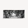 Decorative Trays<Fornasetti Rectangular Tray Giardino Settecentesco White/Black