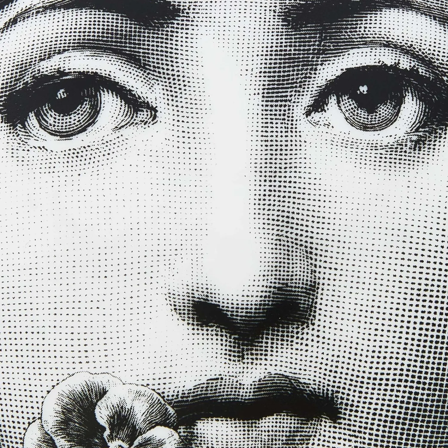 Small Containers<Fornasetti Round Box Tema E Variazioni N.137 White/Black