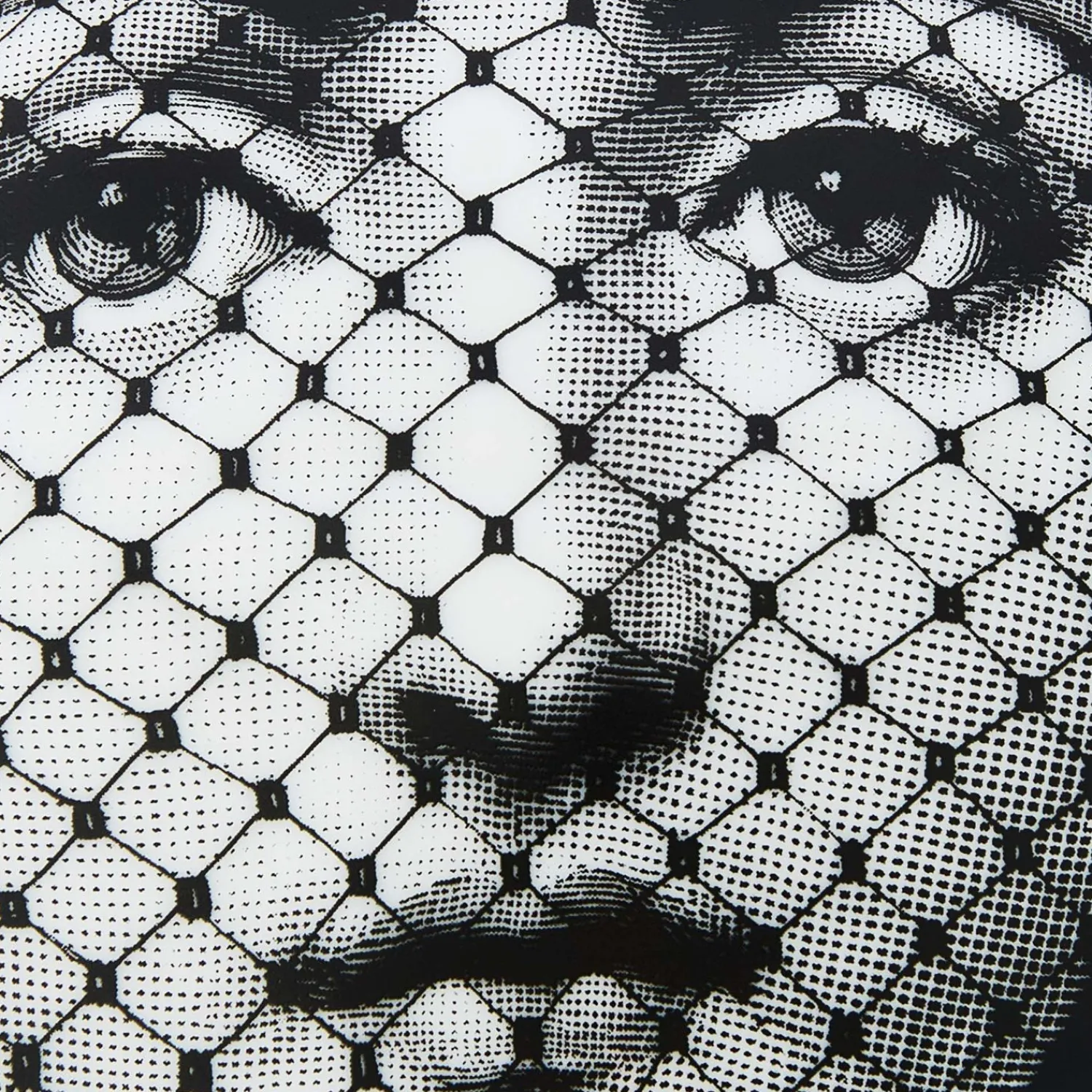 Small Containers<Fornasetti Round Box Tema E Variazioni N.78 White/Black