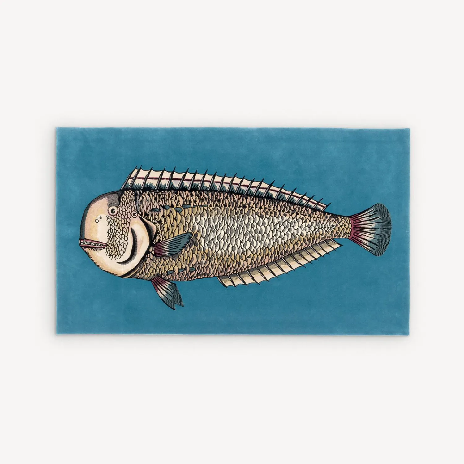 Design Rugs<Fornasetti Rug Lampuga Multicolour
