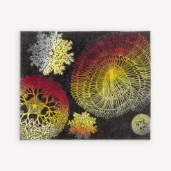 Design Rugs<Fornasetti Rug Madrepore Multicolour