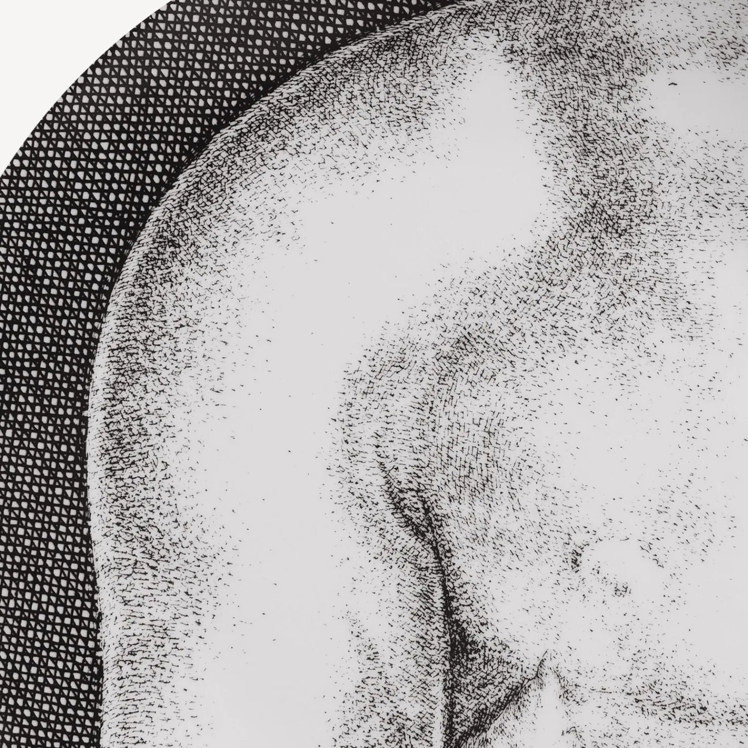 Decorative Plates<Fornasetti Set 12 Plates Adamo White/Black
