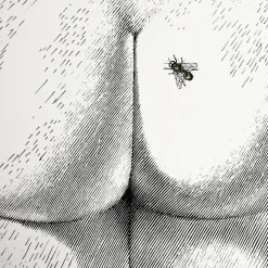 Stools<Fornasetti Stool Bee On My Back Colour White/Black