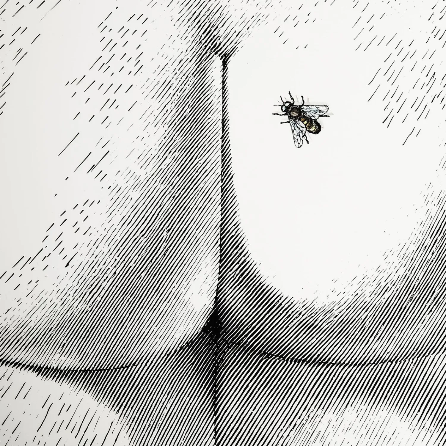 Stools<Fornasetti Stool Bee On My Back Colour White/Black