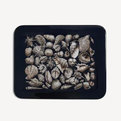 Decorative Trays And Pliants<Fornasetti Tray Conchiglie White/Black/Blue