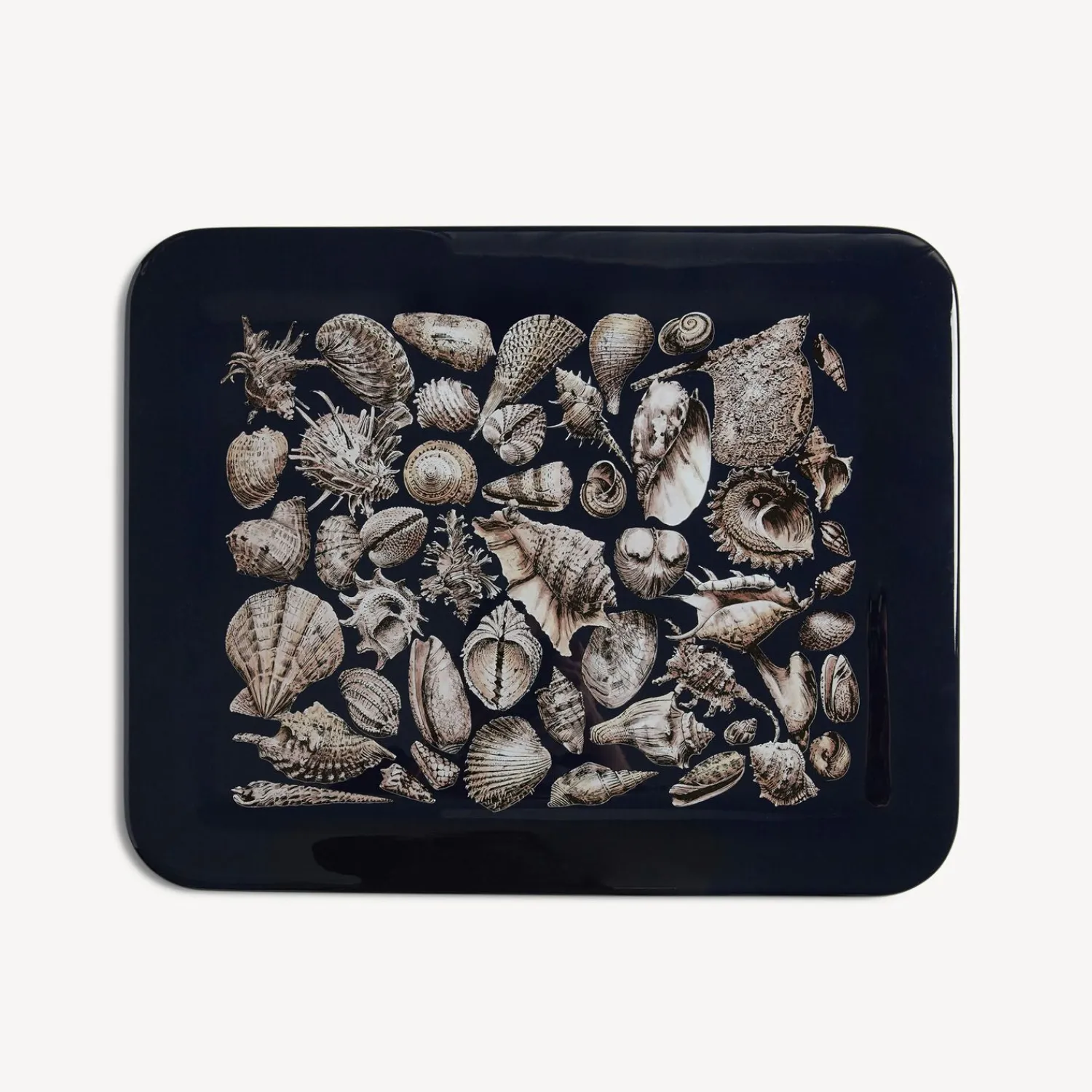 Decorative Trays And Pliants<Fornasetti Tray Conchiglie White/Black/Blue