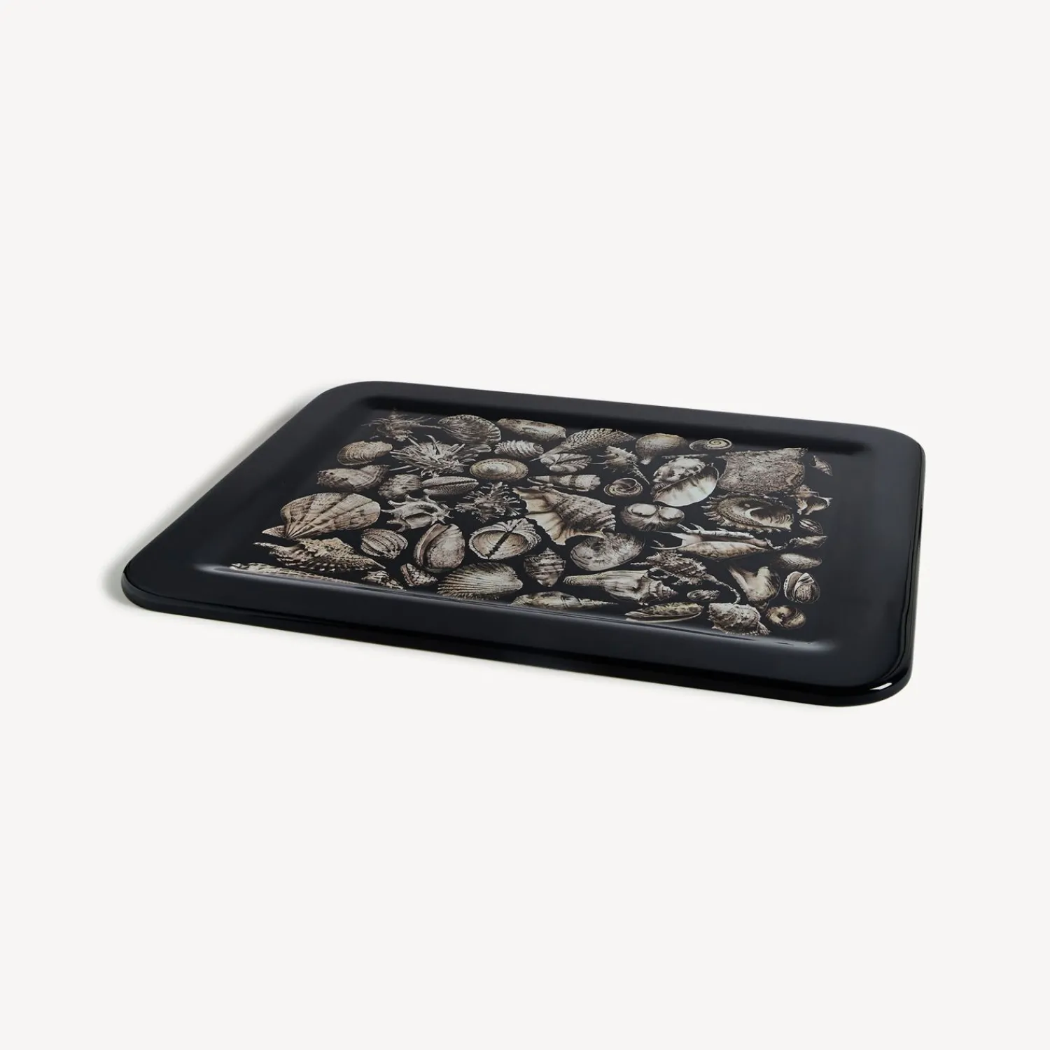 Decorative Trays And Pliants<Fornasetti Tray Conchiglie White/Black/Blue