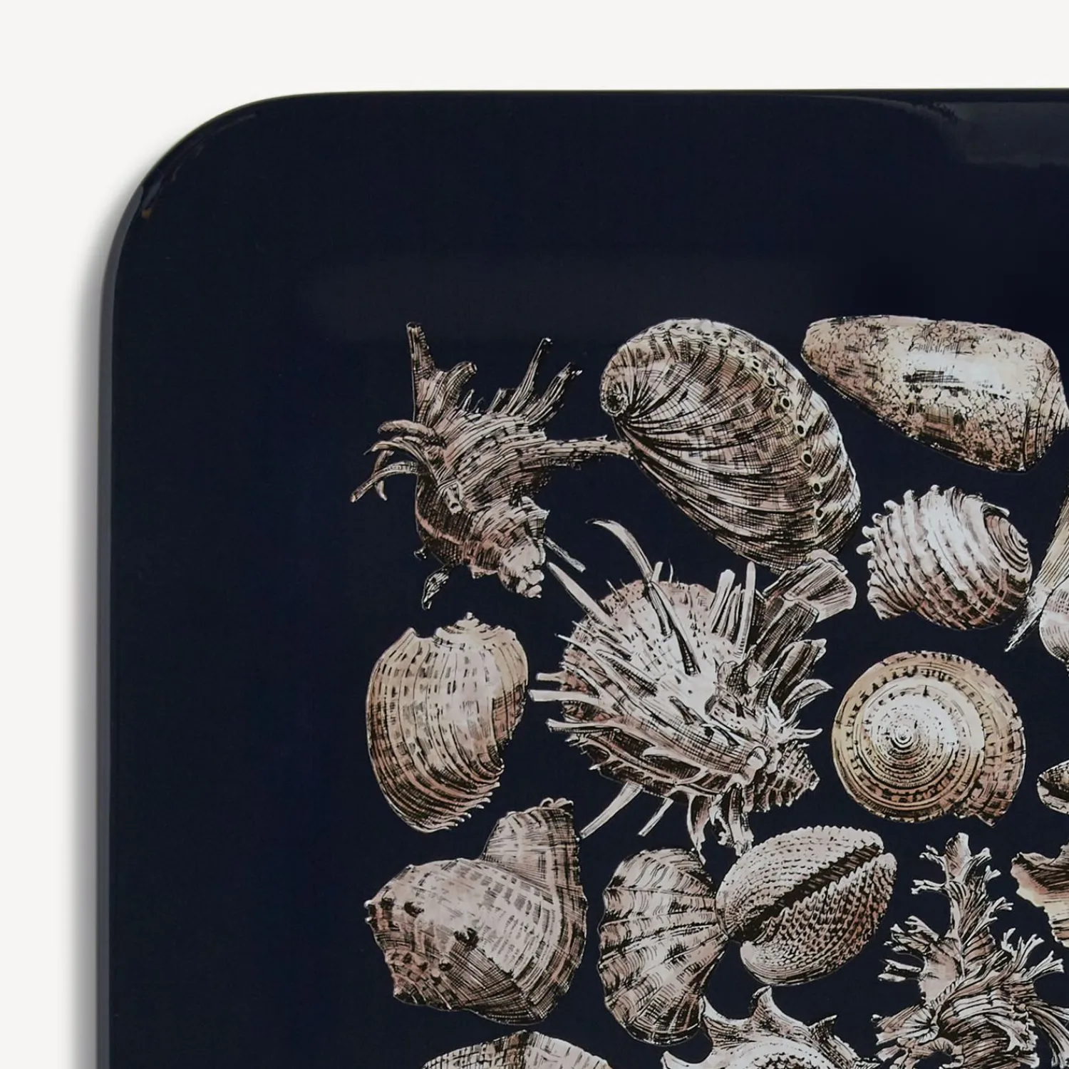 Decorative Trays And Pliants<Fornasetti Tray Conchiglie White/Black/Blue