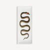 Decorative Trays<Fornasetti Tray Rettangolare Serpente Multicolour