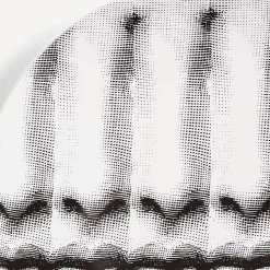 Repetition<Fornasetti Wall Plate Tema E Variazioni N.238 White/Black
