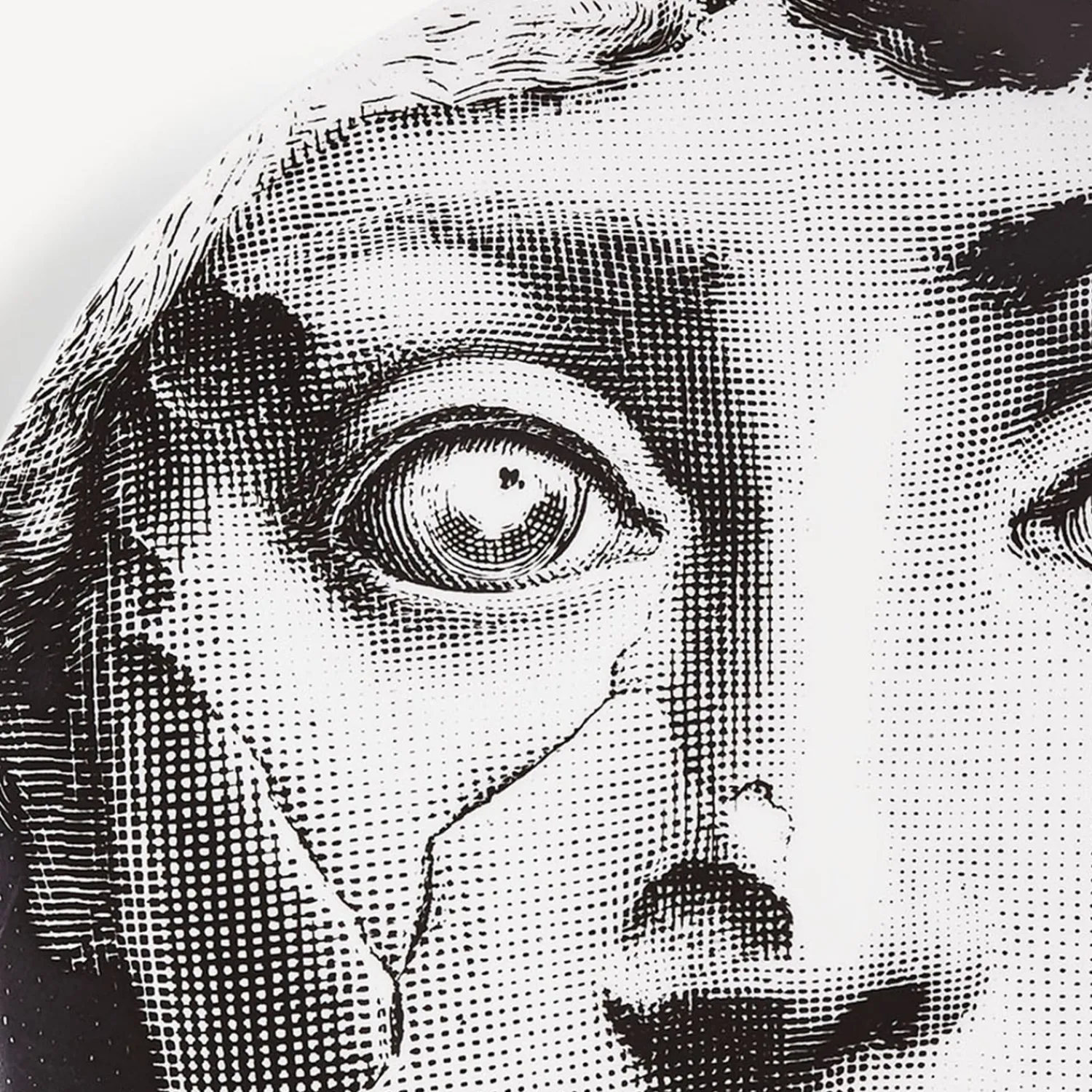 Antiquity<Fornasetti Wall Plate Tema E Variazioni N.378 White/Black