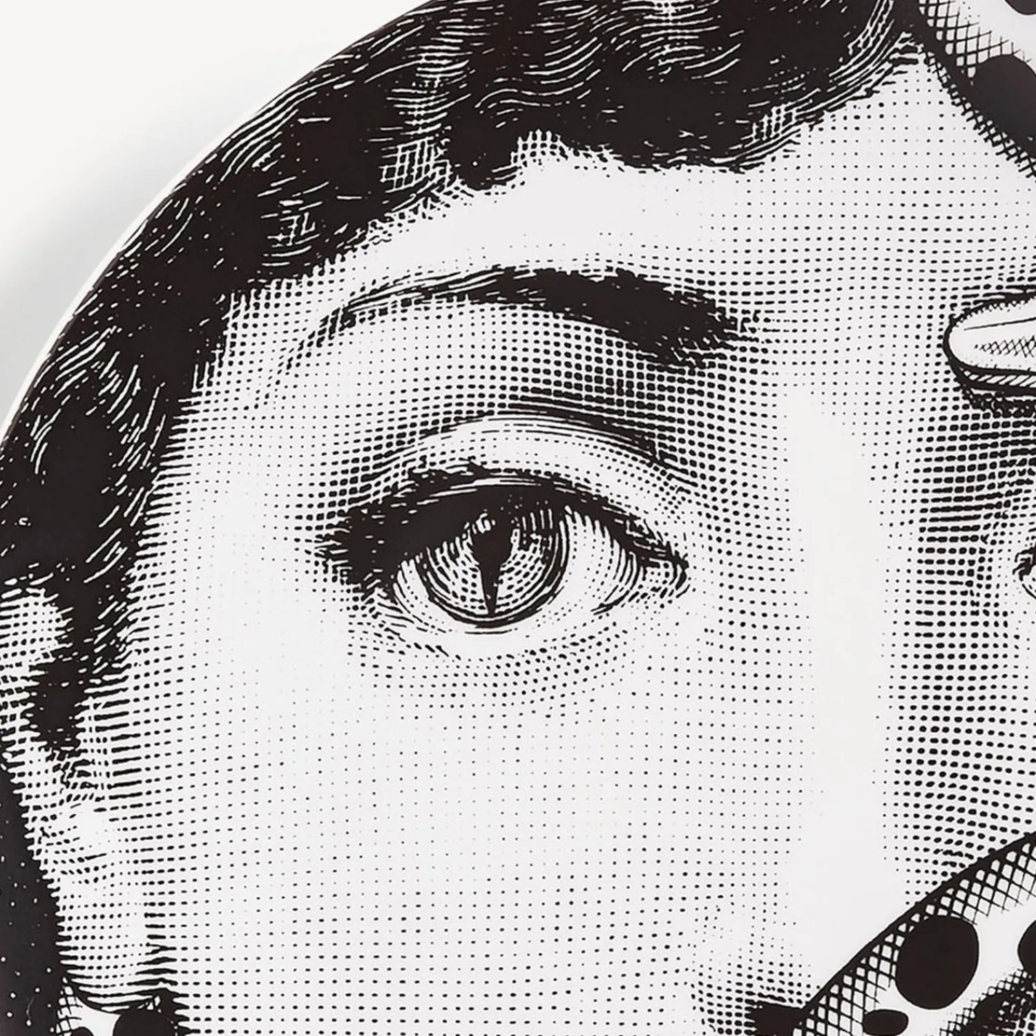 Animals<Fornasetti Wall Plate Tema E Variazioni N.383 White/Black