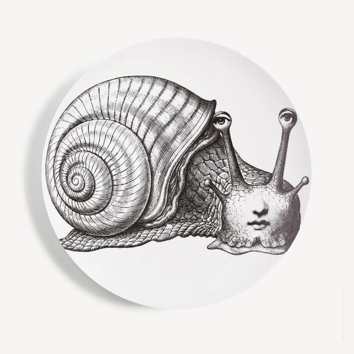 Animals<Fornasetti Wall Plate Tema E Variazioni N.260 White/Black