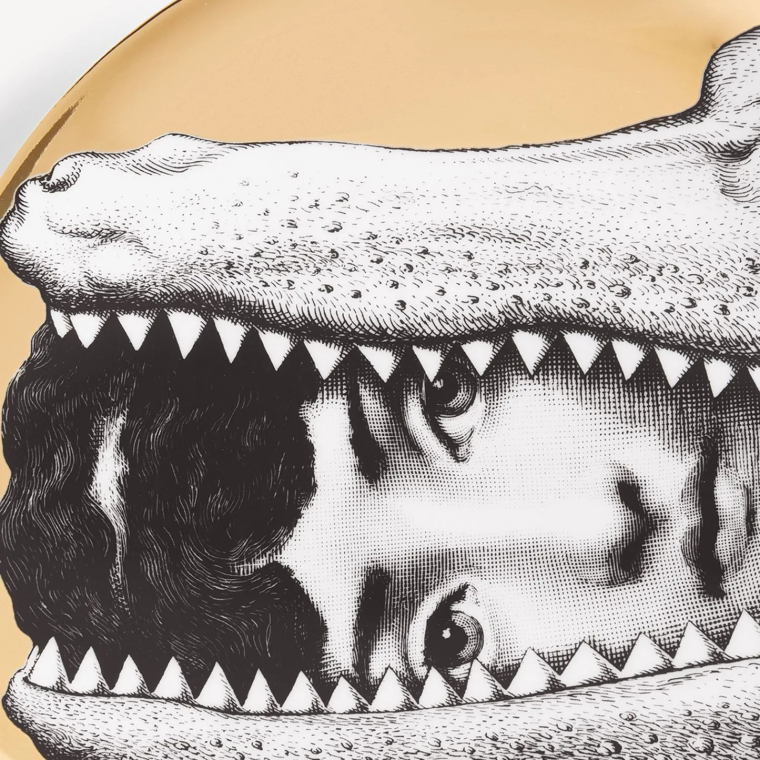 Animals<Fornasetti Wall Plate Tema E Variazioni N.233 White/Black/Gold