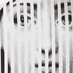 Fragment<Fornasetti Wall Plate Tema E Variazioni N.34 White/Black