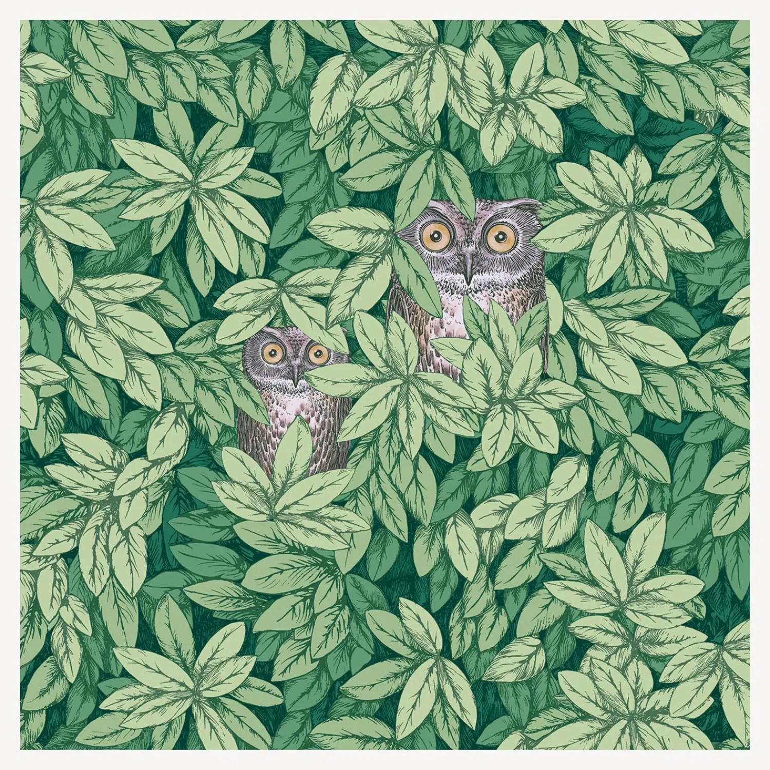 Wallpaper<Fornasetti Wallpaper Foglie E Civette Forest Green