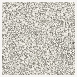 Wallpaper<Fornasetti Wallpaper Ortensia Black And White