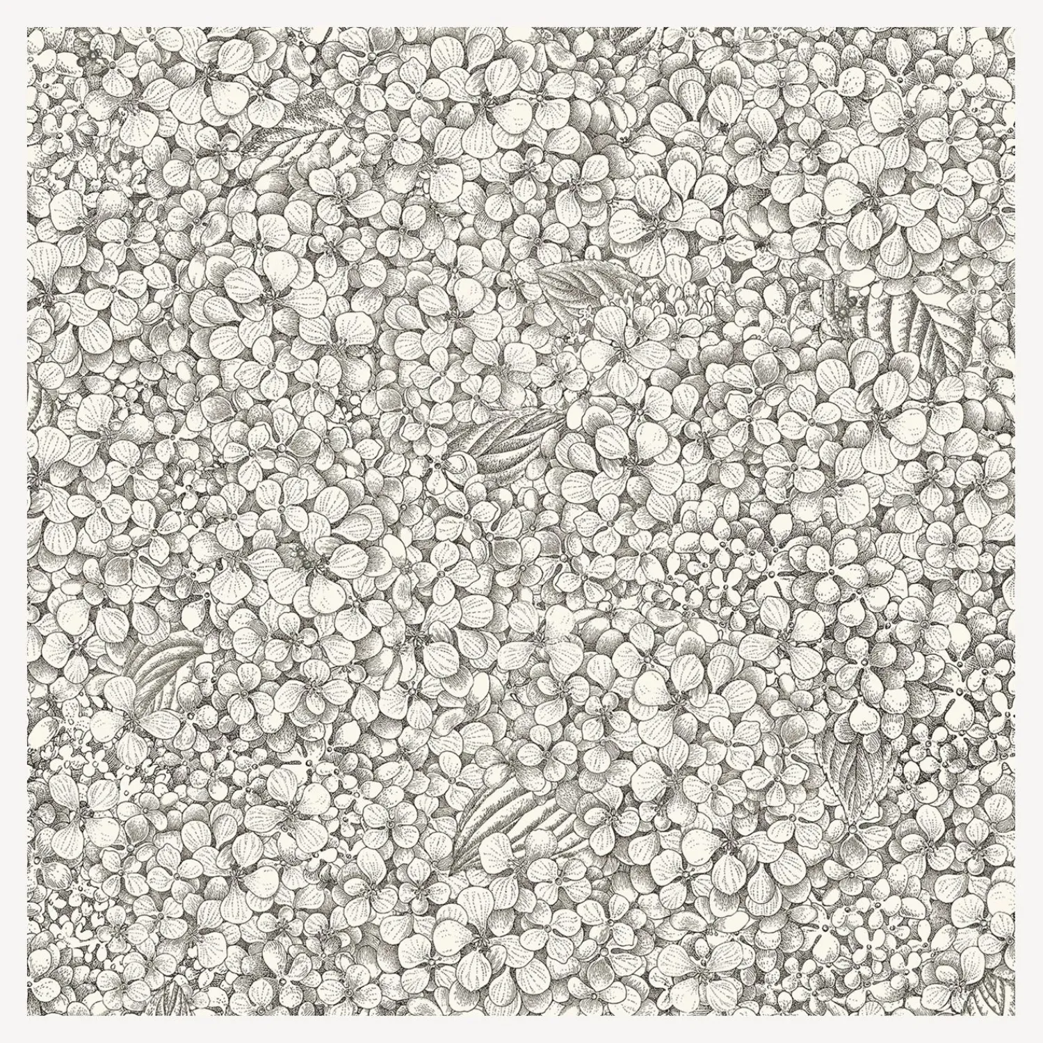 Wallpaper<Fornasetti Wallpaper Ortensia Black And White