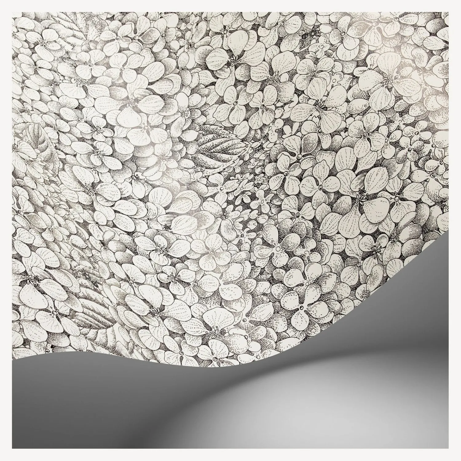 Wallpaper<Fornasetti Wallpaper Ortensia Black And White